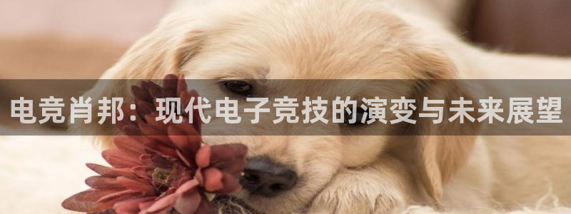 uwin电竞是什么