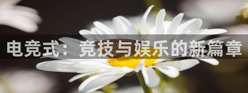 uwin电竞：电竞式：竞技与娱乐的新篇章