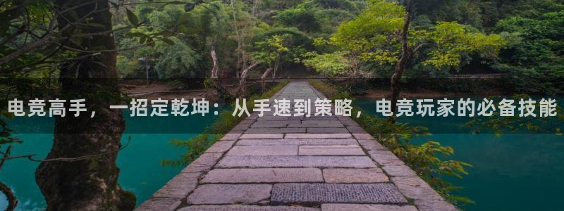 uwin电竞app下载：电竞高手，一招定乾坤：从手速到策略，电竞玩家的必备技能