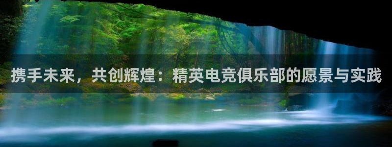 UWIN电竞·(中国)集团：携手未来，共创辉煌：精英电竞俱乐部的愿景与实践