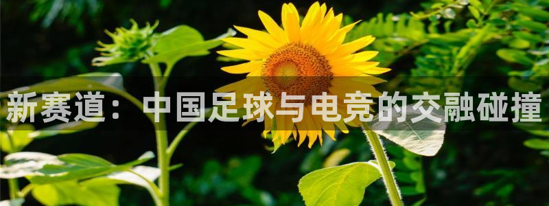 uwin电竞：新赛道：中国足球与电竞的交融碰撞