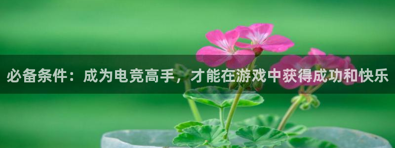 Uwin电竞注册：必备条件：成为电竞高手，才能在游戏中获得成功和快乐